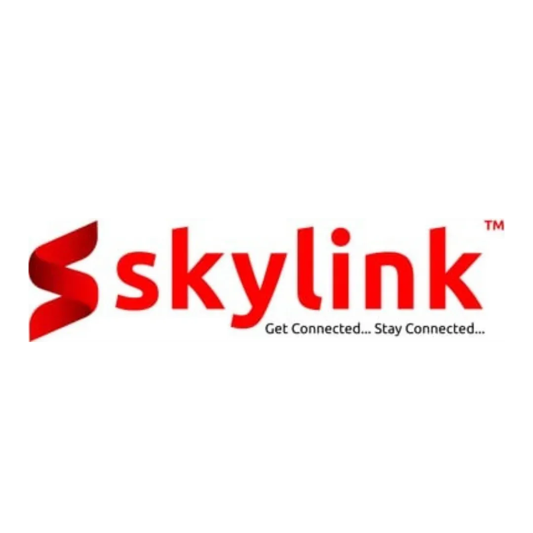 skylink network communication